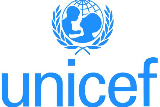 Implementation of a new project with UNICEF Ukraine