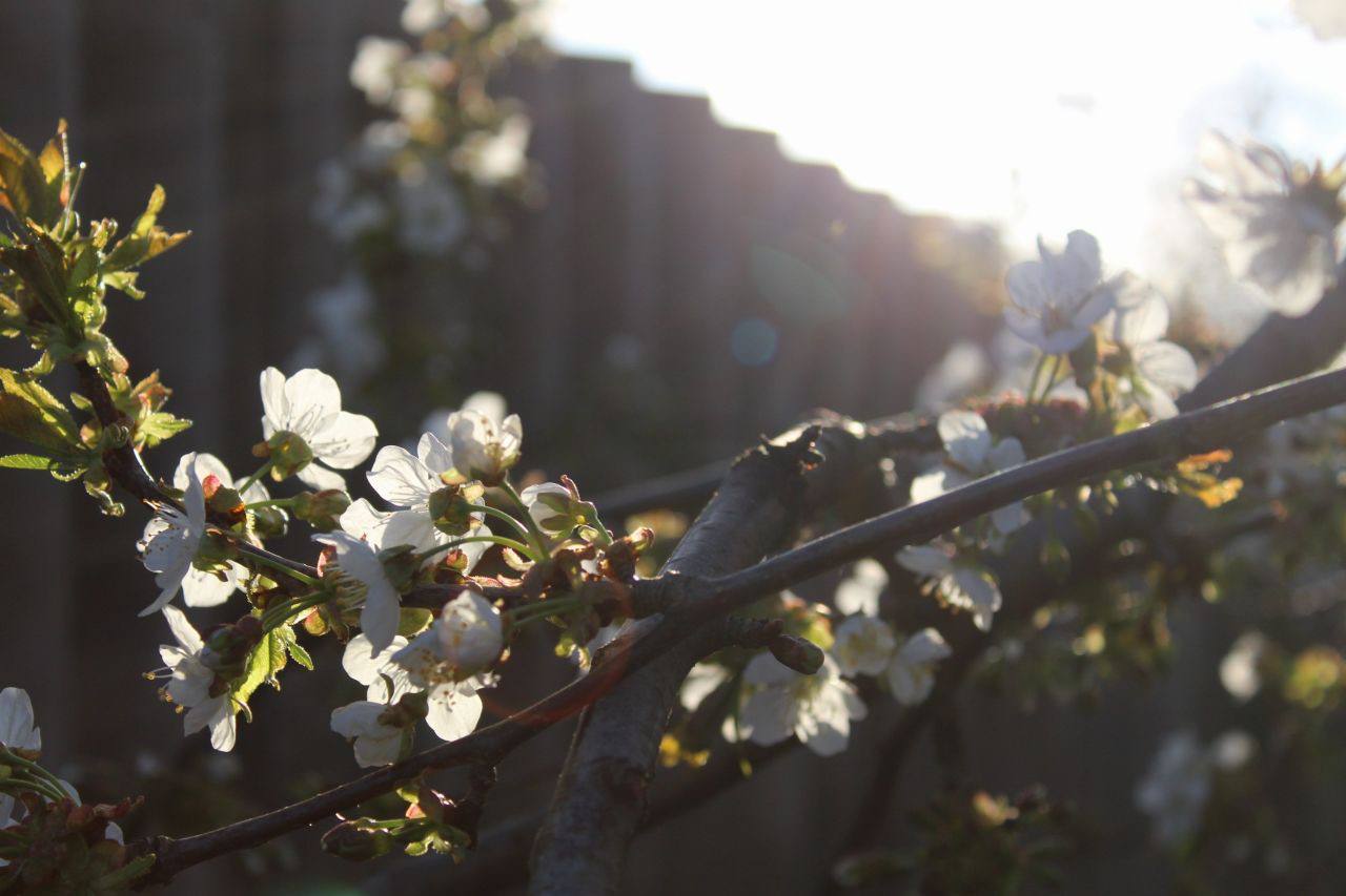 Коли мрії знову стають можливими: історія 16-річної Ксенії, що виїхала з окупації